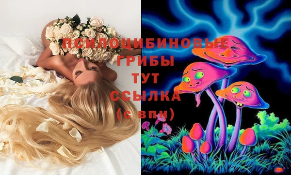 хмурый Абдулино