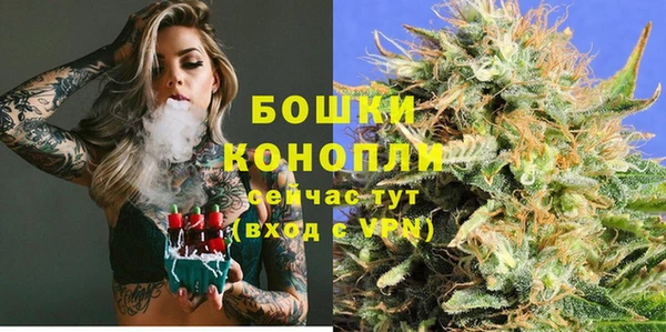 шишки Новозыбков
