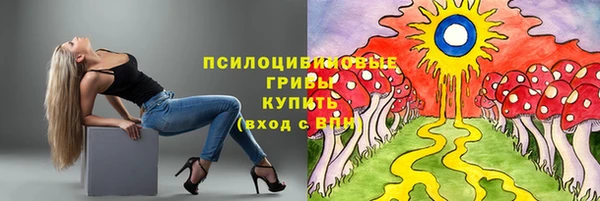 apvp Няндома