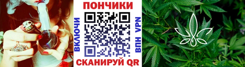 Конопля SATIVA & INDICA Новомичуринск